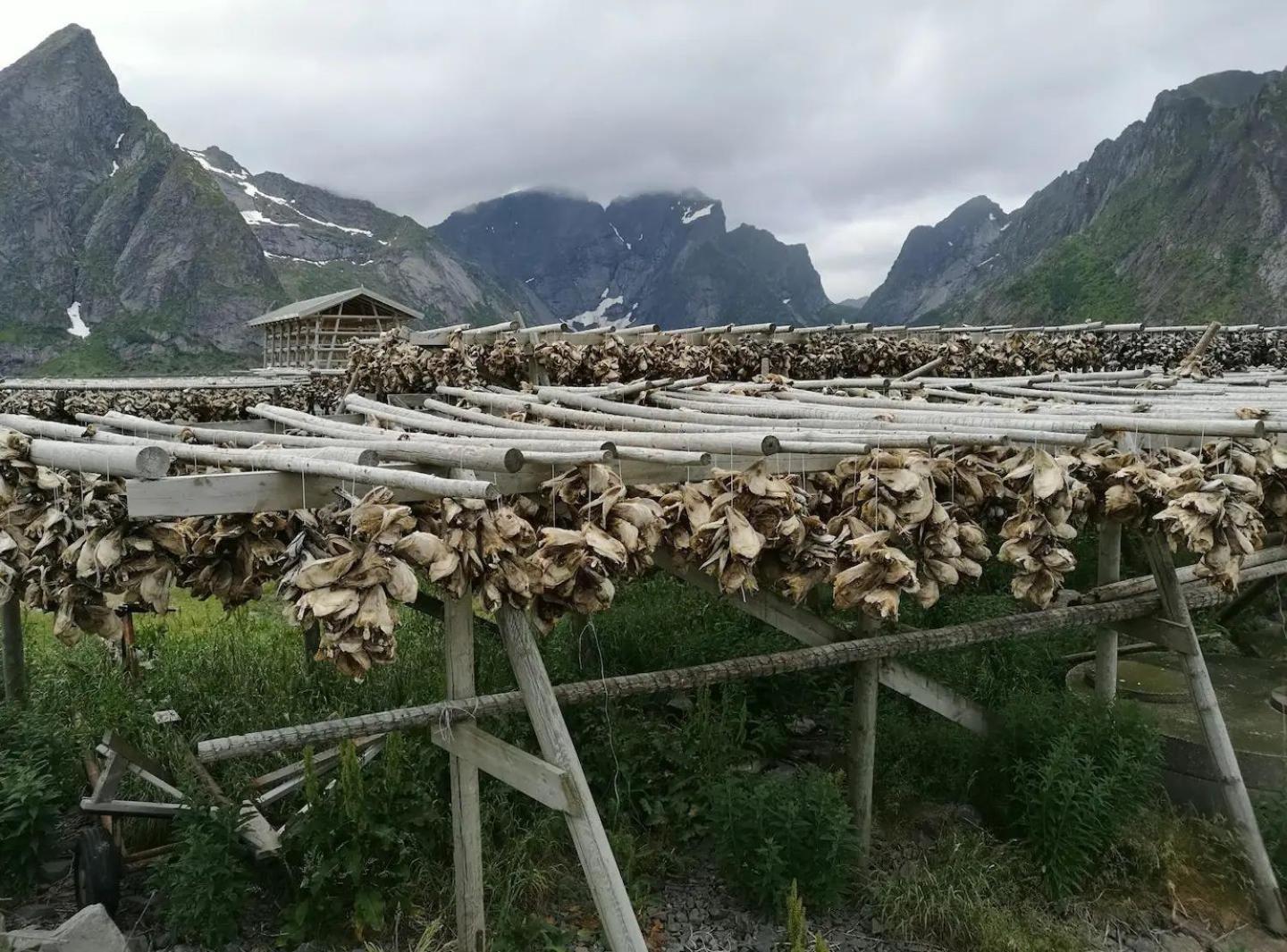 Lofoten Panoramic Luxury Home With Sauna Moskenes Zewnętrze zdjęcie