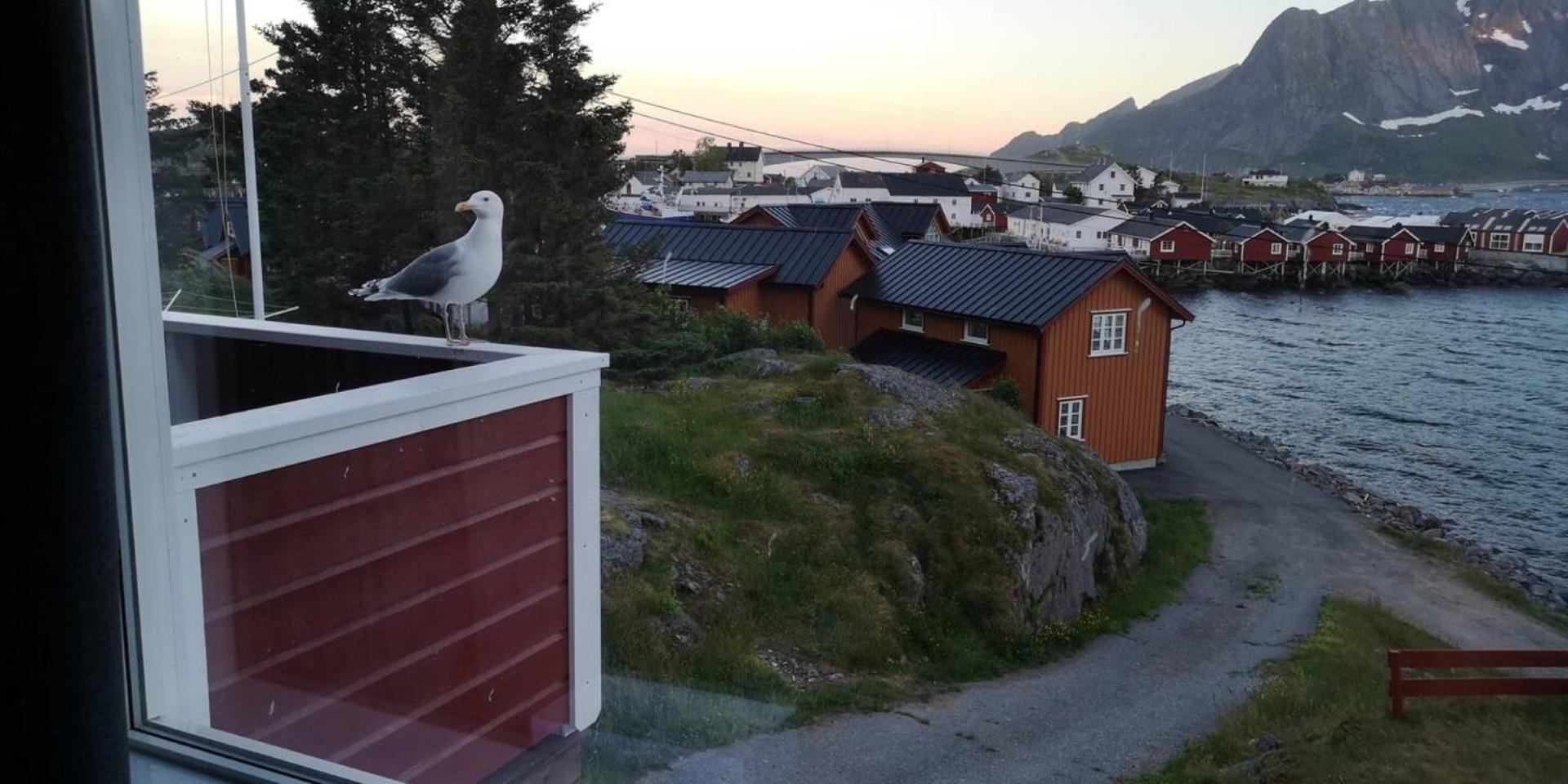 Lofoten Panoramic Luxury Home With Sauna Moskenes Zewnętrze zdjęcie