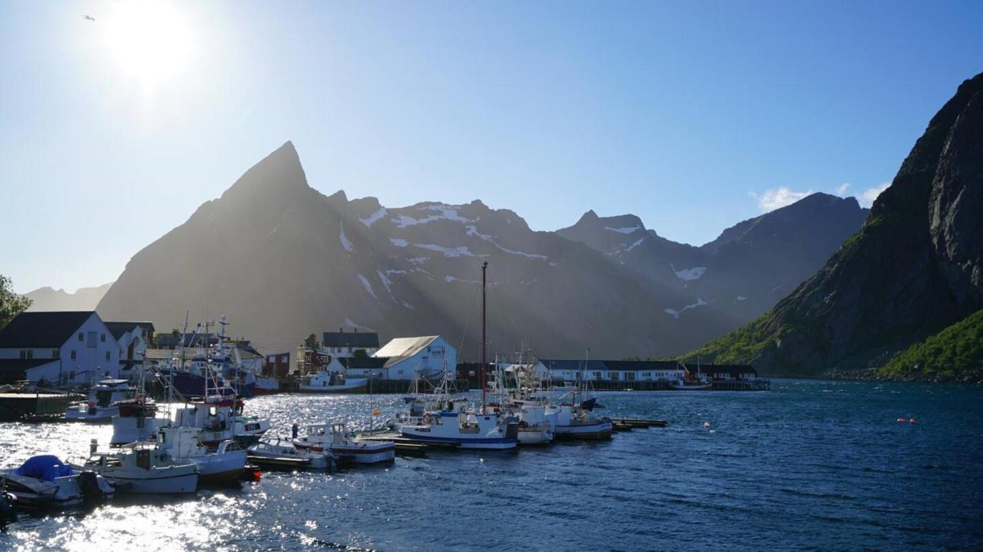 Lofoten Panoramic Luxury Home With Sauna Moskenes Zewnętrze zdjęcie